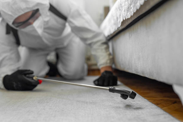 Professional Termite Control technician working in Maumee, OH