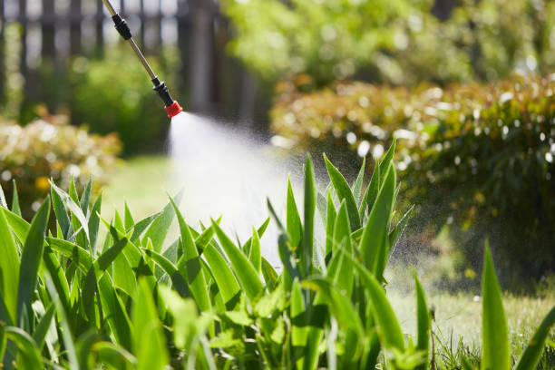 24/7 Emergency Termite Control experts in Maumee, OH