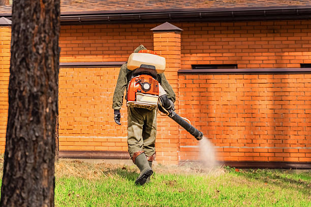 Top rated local Termite Control specialists in Maumee, OH